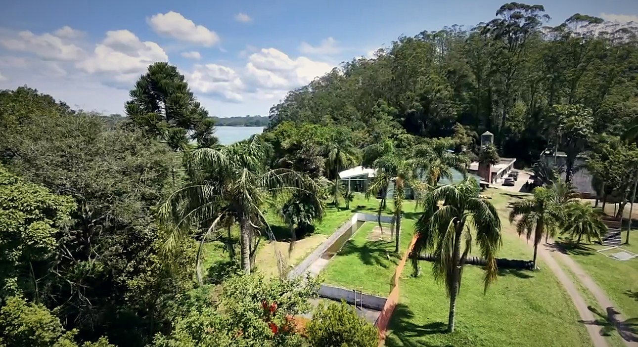 Área verde com palmeiras e a represa ao fundo